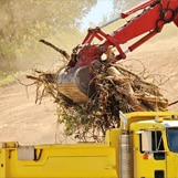 General Clean Ups